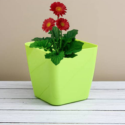 Square Flower Pots for Gardening