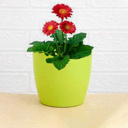 Round Pots for Plants (Set of 2)