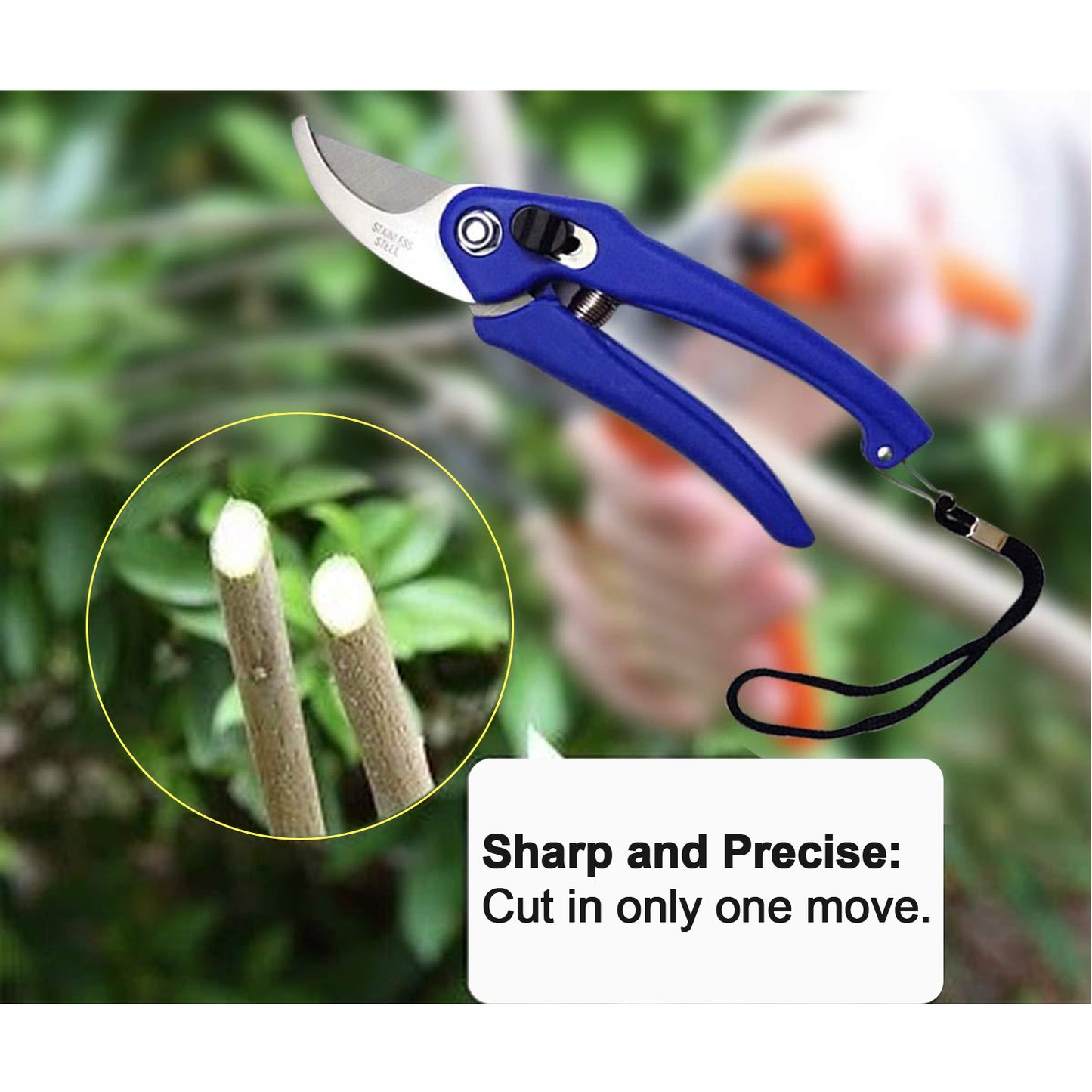 Garden Shears for Pruning Branches & Flowers