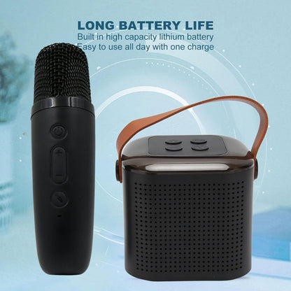 Travel-Friendly Wireless Speaker & Mic Set