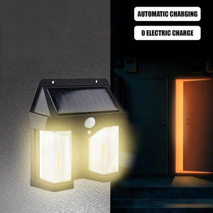 Induction Solar Night Lamp for Garden