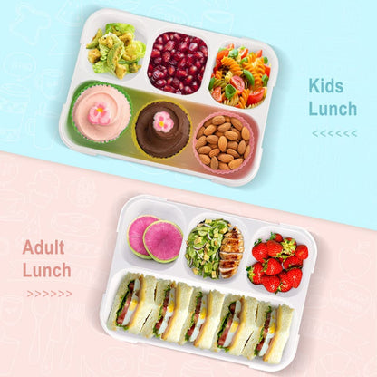 5212 Lunch Box 4 Compartment With Leak Proof Lunch Box For School  Office Use