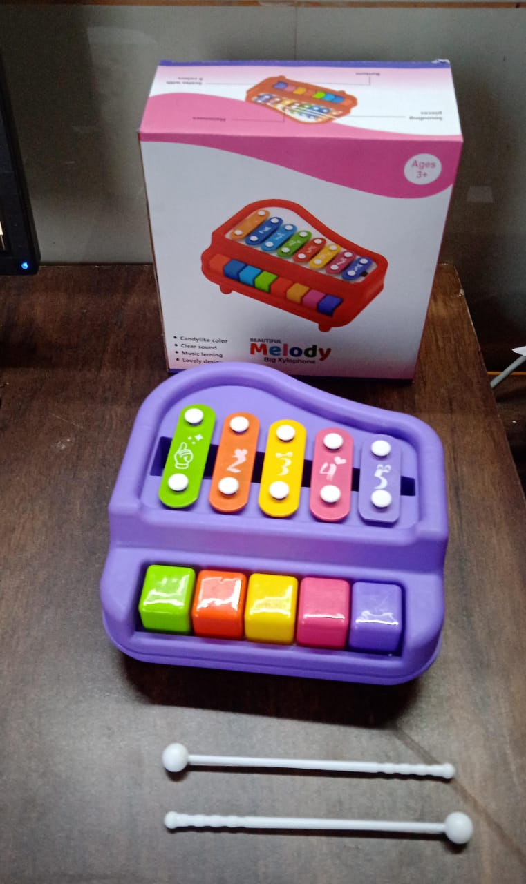 Educational 2-in-1 Musical Toy for Babies & Toddlers