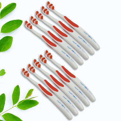 Soft Toothbrush Set with Round Case (10 Pcs)